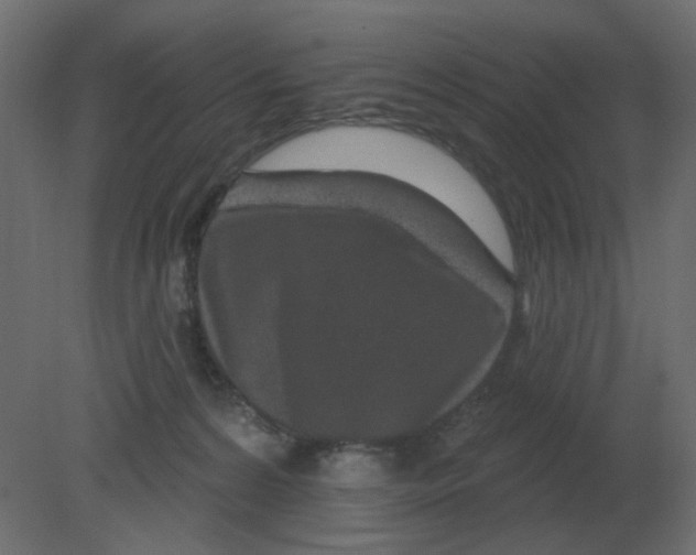 X0000080790224200701122156