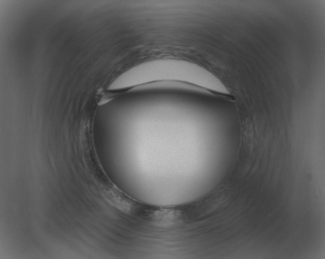 X0000080790225200701122156