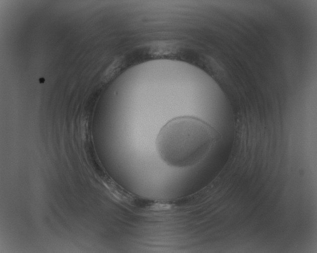 X0000080790227200701122156