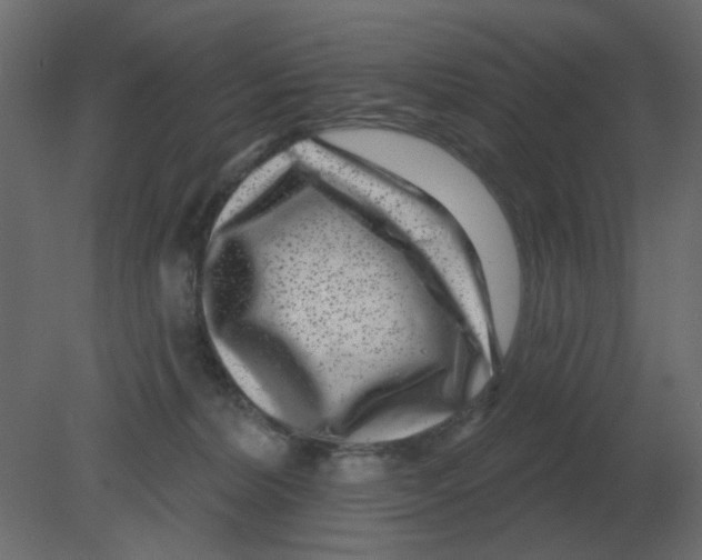 X0000080790228200701122156