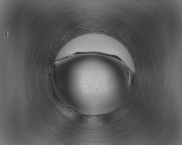 X0000080790229200701122156