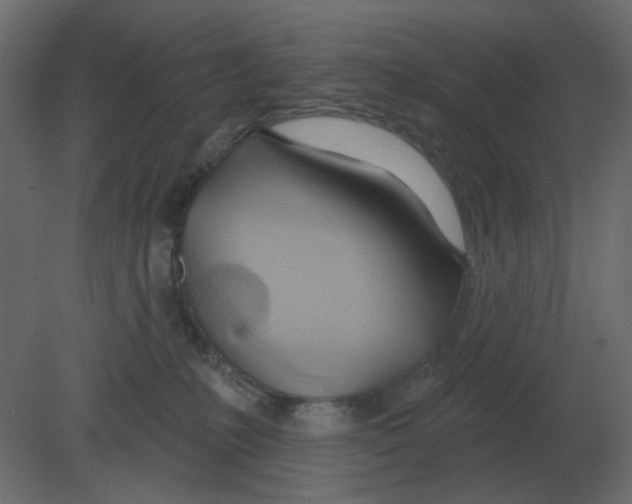 X0000080790231200701122156