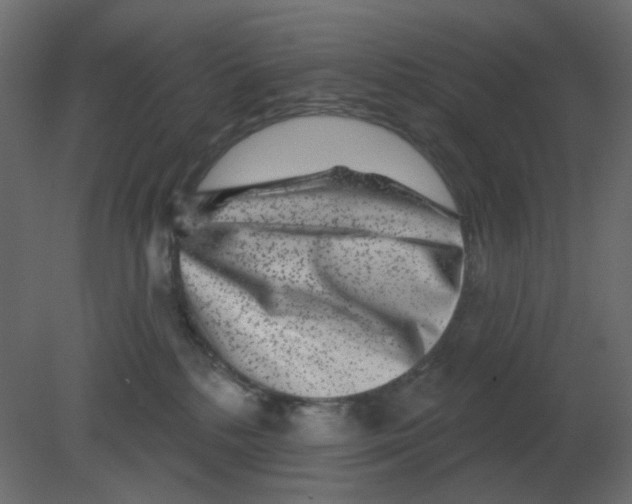 X0000080790232200701122156