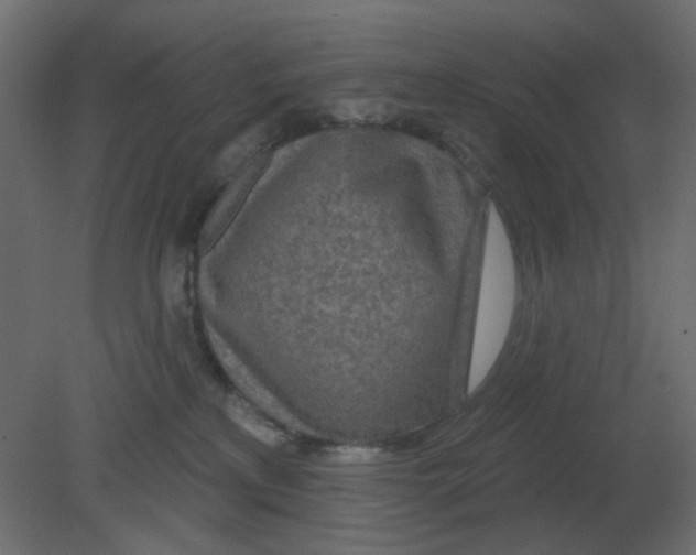 X0000080790233200701122156