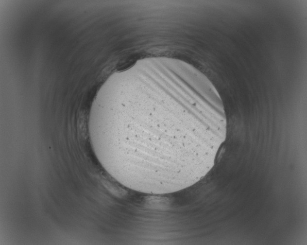 X0000080790234200701122156