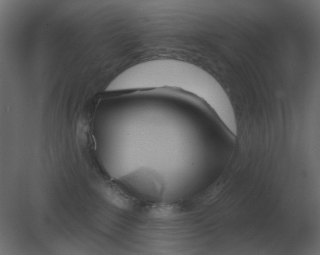 X0000080790235200701122156