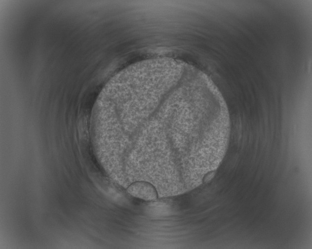 X0000080790236200701122156