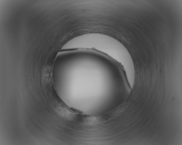 X0000080790237200701122156