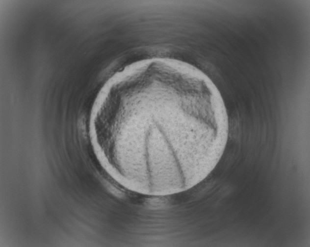 X0000080790238200701122156