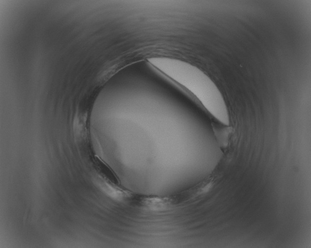 X0000080790239200701122156