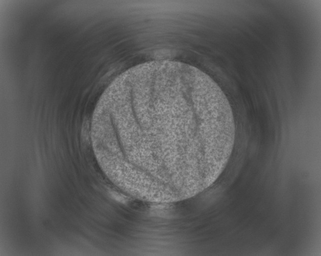 X0000080790240200701122156