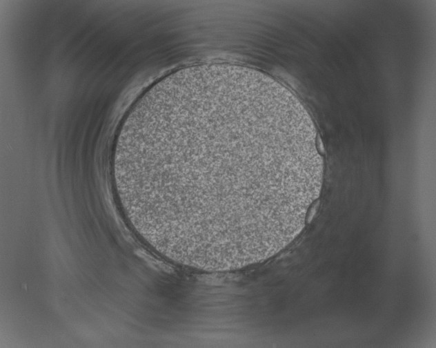 X0000080790241200701122155