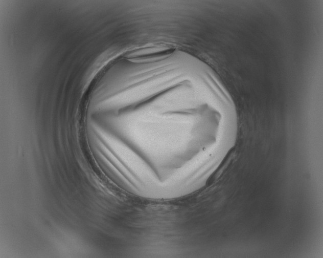 X0000080790242200701122155