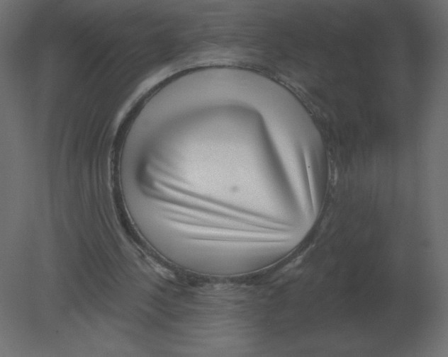 X0000080790244200701122155