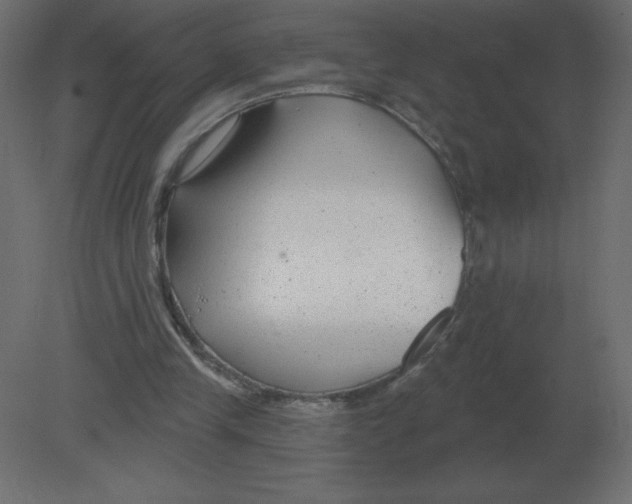 X0000080790245200701122155