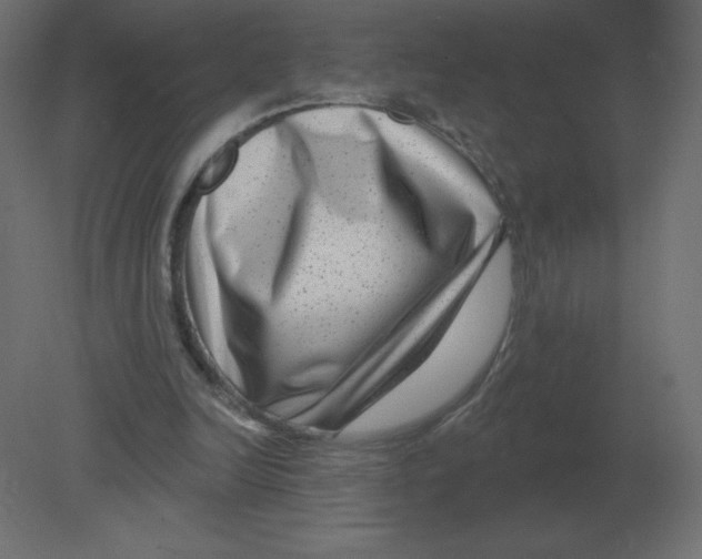 X0000080790246200701122155