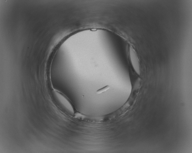 X0000080790248200701122155