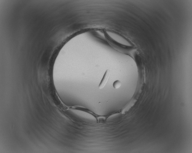 X0000080790252200701122155