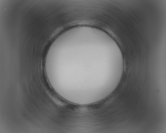 X0000080790253200701122155