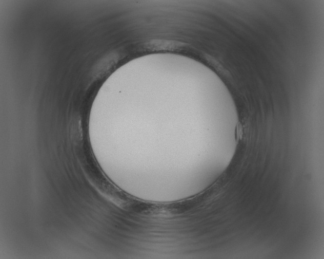 X0000080790254200701122155