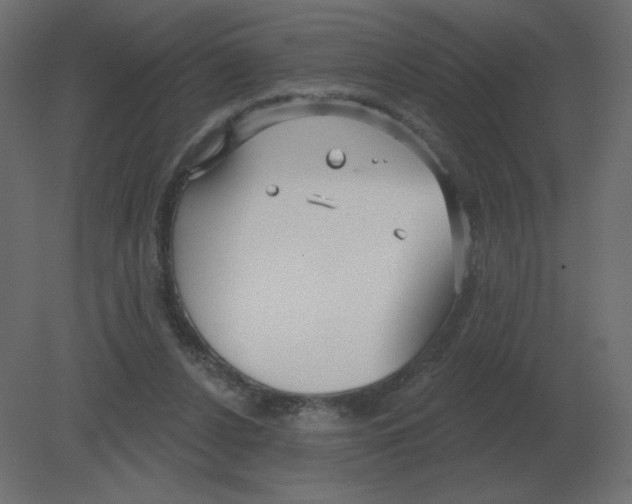 X0000080790256200701122155