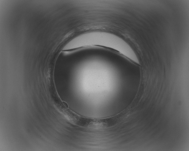 X0000080790260200701122155