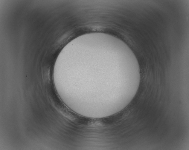 X0000080790262200701122155