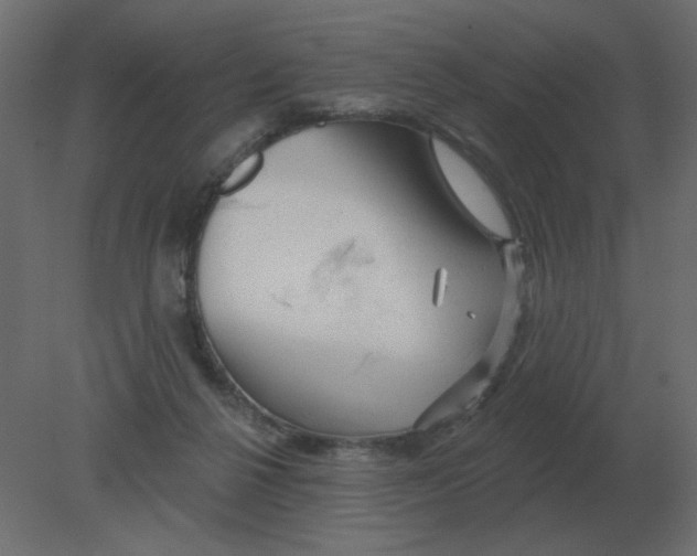 X0000080790264200701122155