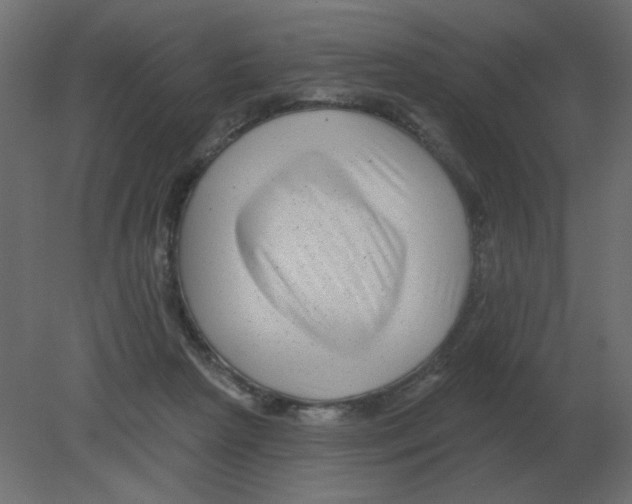 X0000080790265200701122155