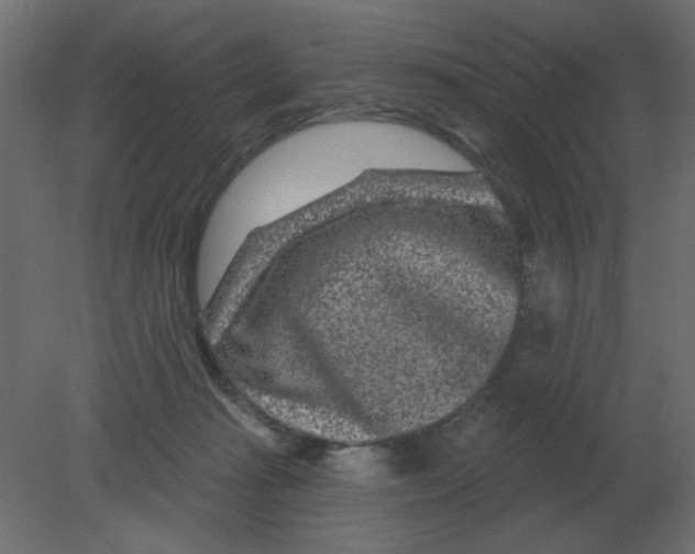 X0000080790269200701122155