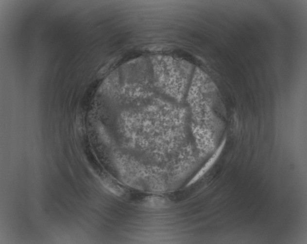 X0000080790272200701122155