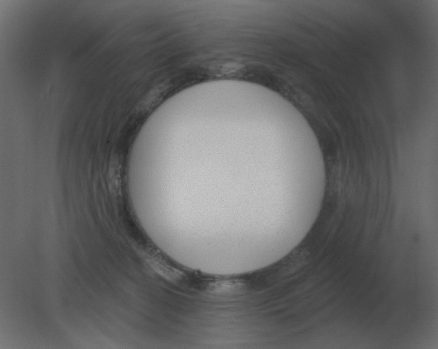 X0000080790274200701122155