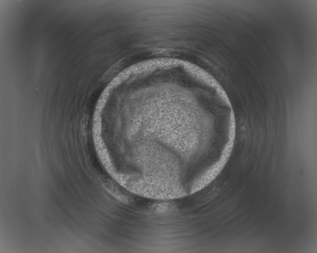 X0000080790275200701122155