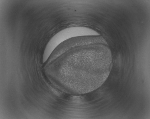 X0000080790277200701122156