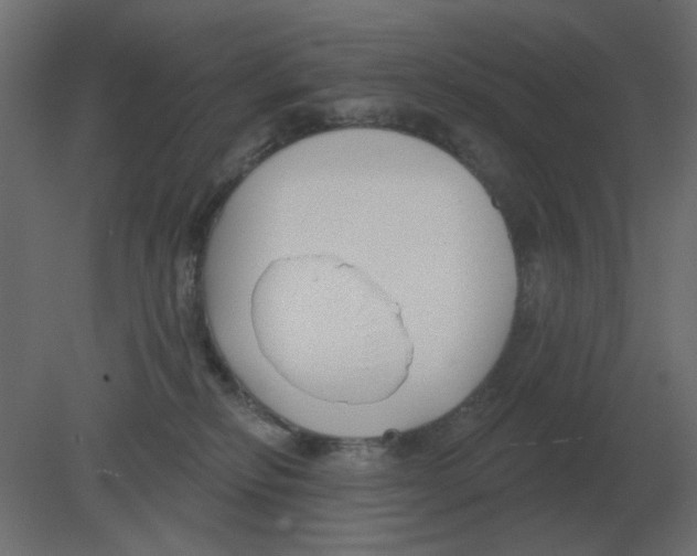 X0000080790278200701122156