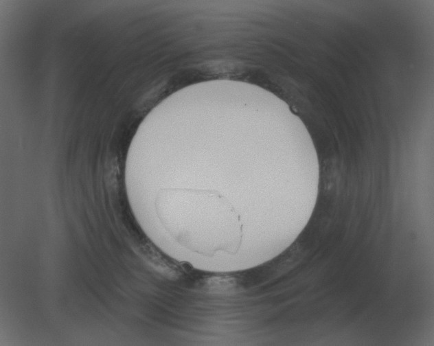 X0000080790279200701122156