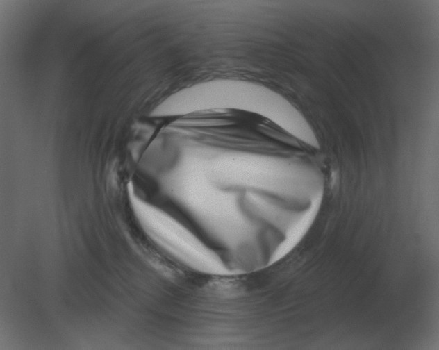 X0000080790280200701122156