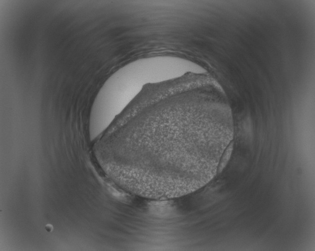 X0000080790281200701122156