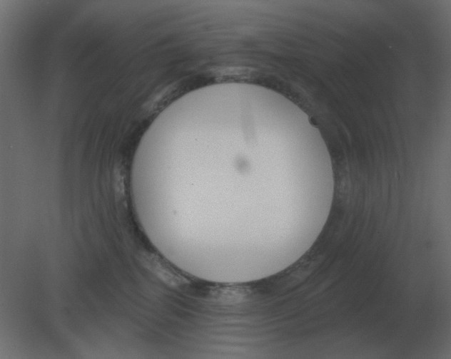 X0000080790282200701122156