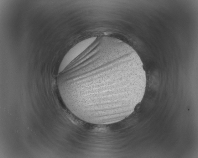 X0000080790283200701122156