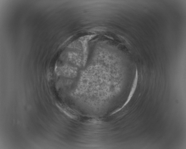 X0000080790284200701122156