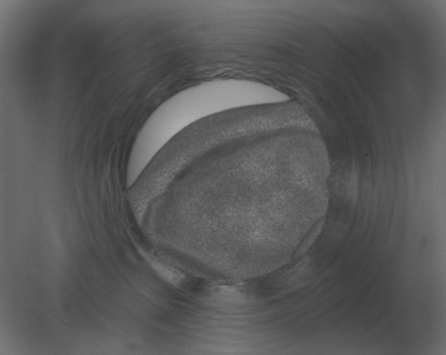 X0000080790285200701122156