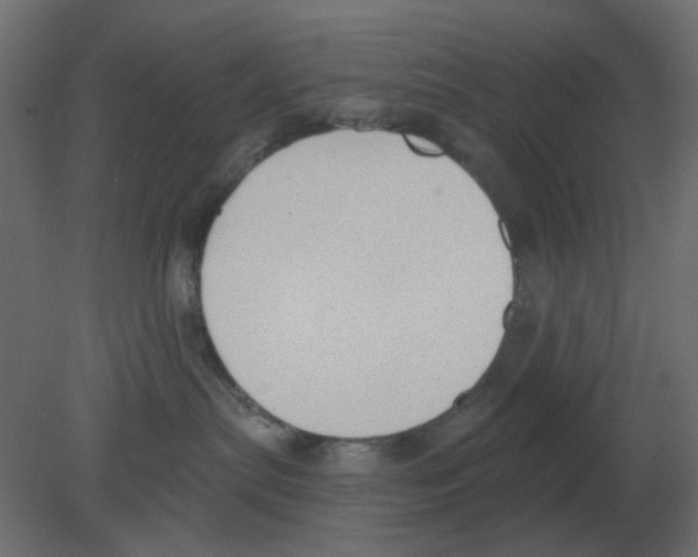 X0000080790287200701122156