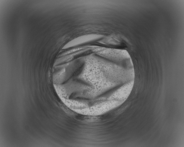 X0000080790288200701122156