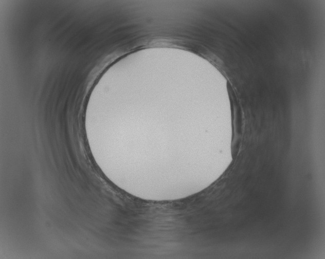 X0000080790289200701122155