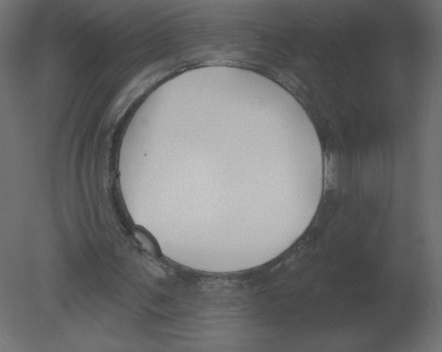 X0000080790291200701122155