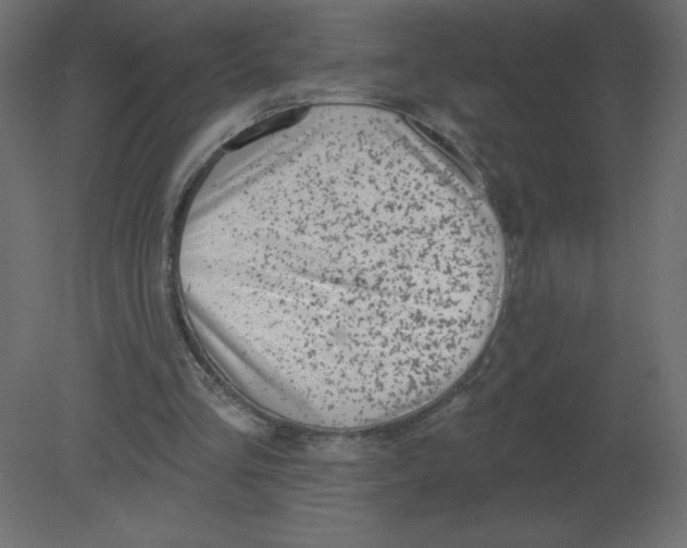 X0000080790293200701122155