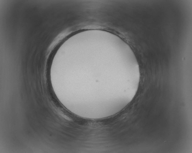 X0000080790296200701122155