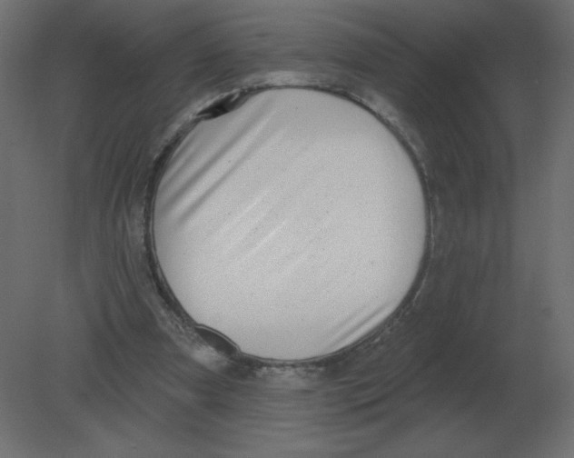 X0000080790297200701122155