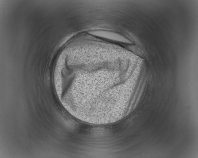 X0000080790298200701122155